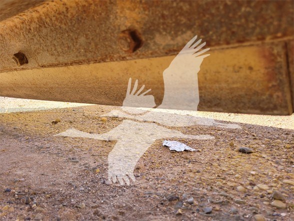 Universal TERRAPLANE NR350 Image 10