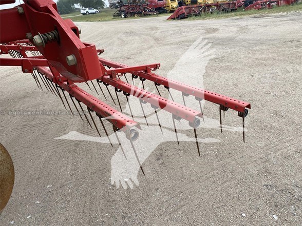 Sunflower 1544-42 Image 10