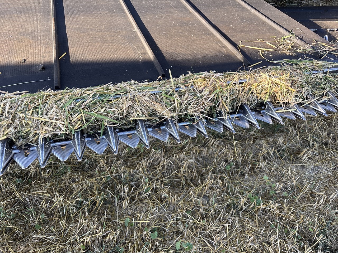 2024 MacDon FD245 Image 4