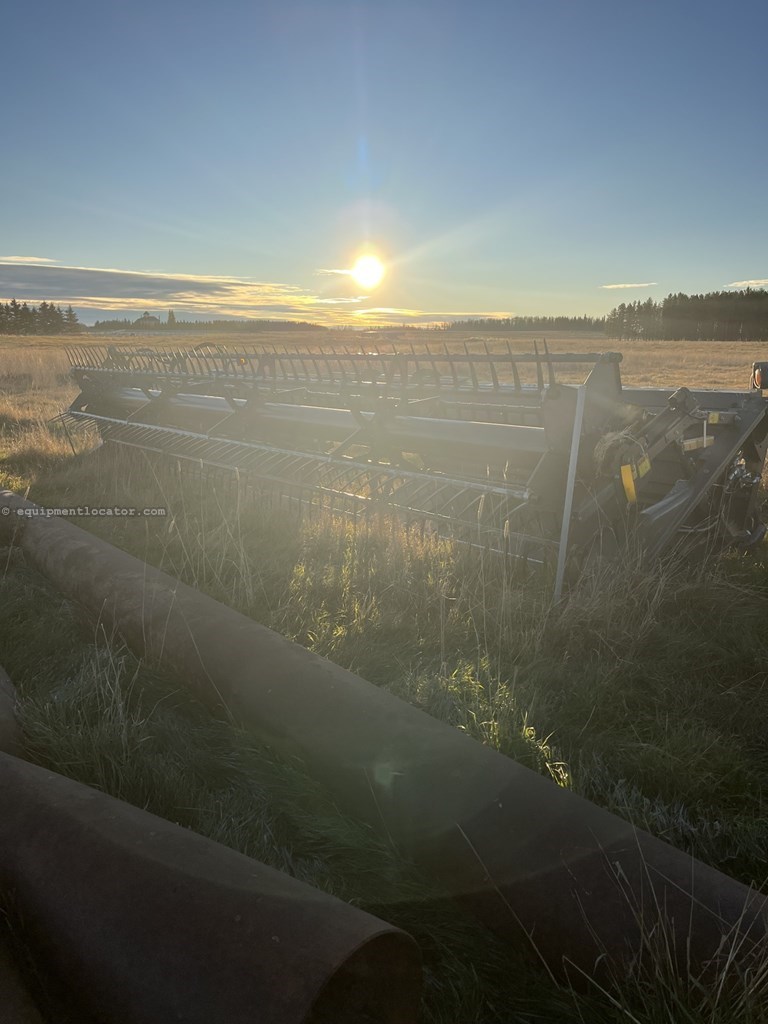 2020 Massey Ferguson WR 9980 Image 28