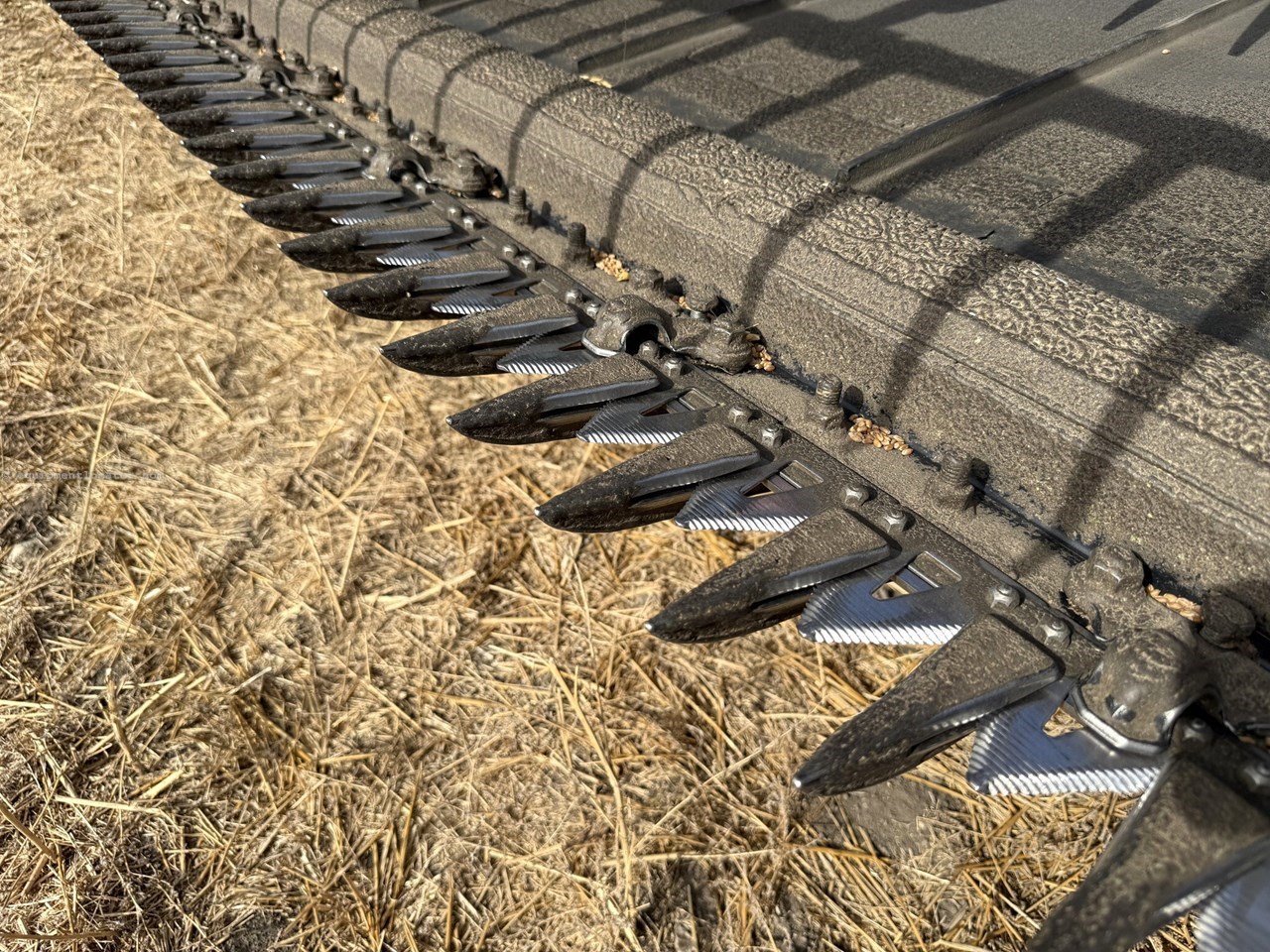 2025 MacDon FD250 Image 10