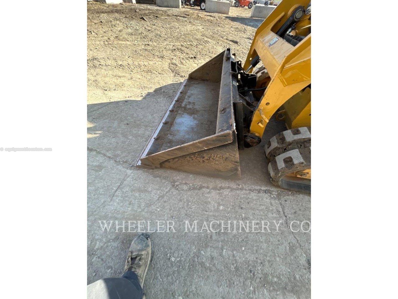 2022 Caterpillar 239D3 C1H2 Image 10